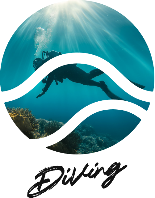Diving